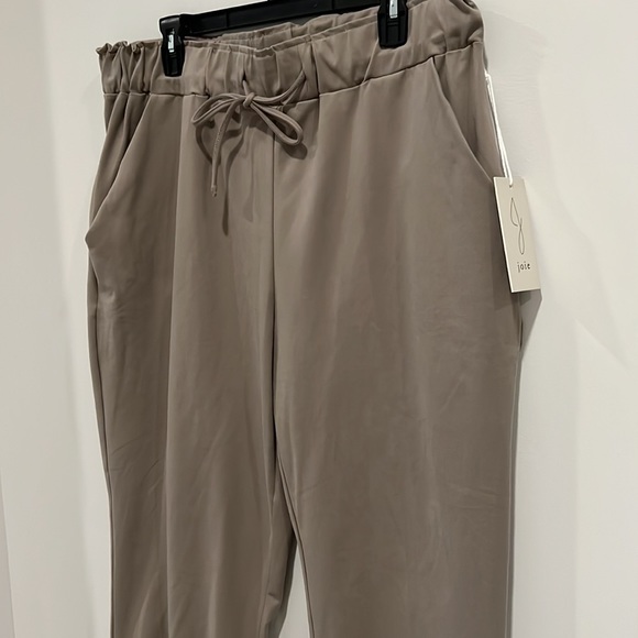 Joie Open Leg Drawstring Tie Waist Pant in a Grey Beige Color NWT Women’s XL - Picture 3 of 8